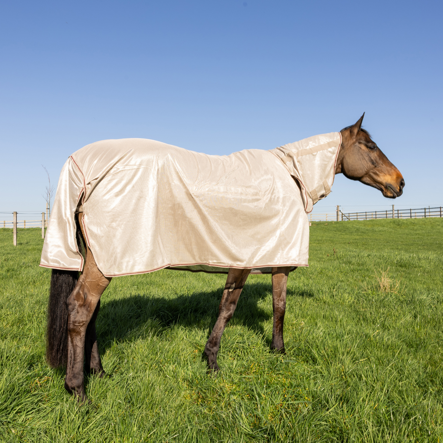 Kentucky Horsewear Mesh Fly Rug Comfort Classic with Neck &amp; Belly Cover