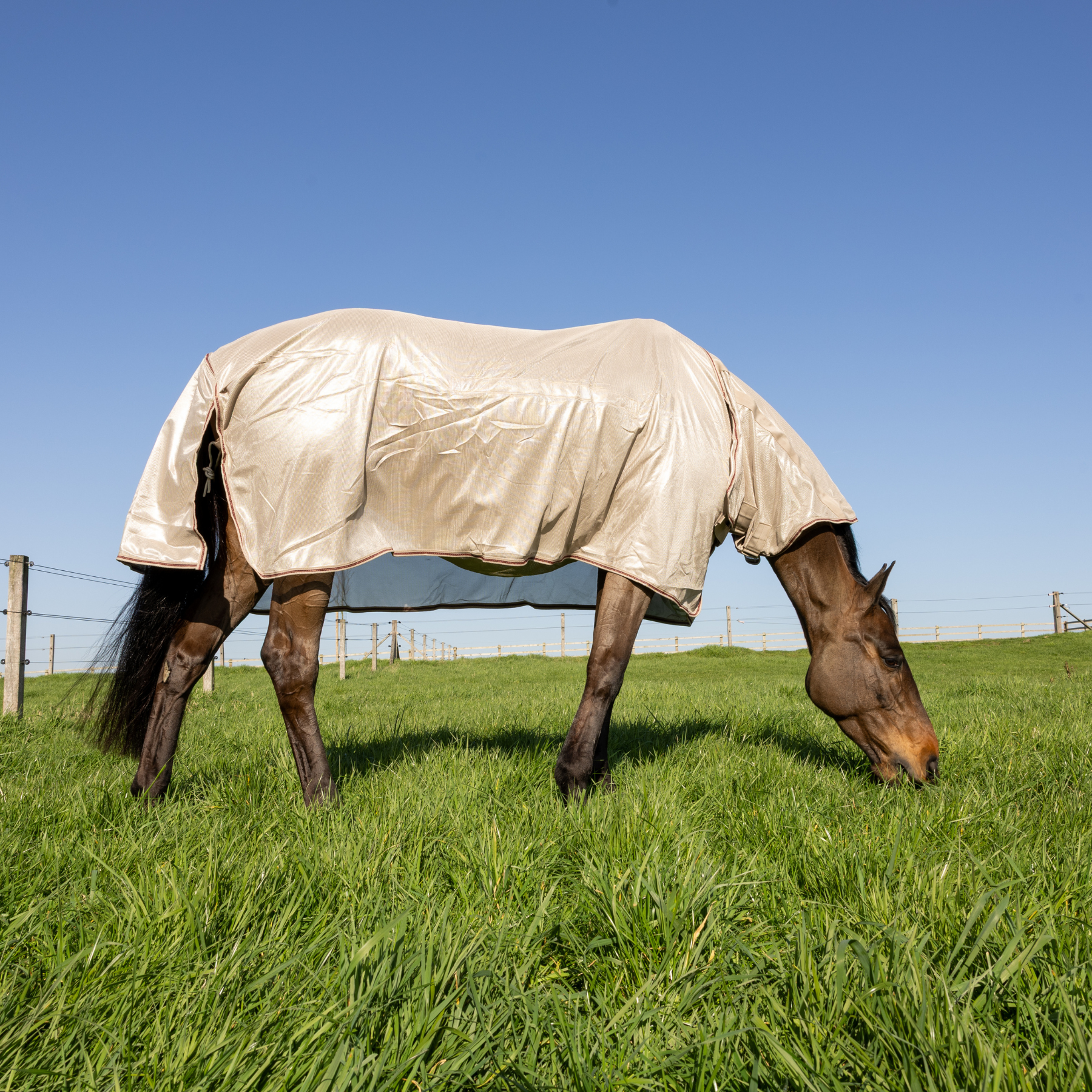 Kentucky Horsewear Mesh Fly Rug Comfort Classic with Neck &amp; Belly Cover