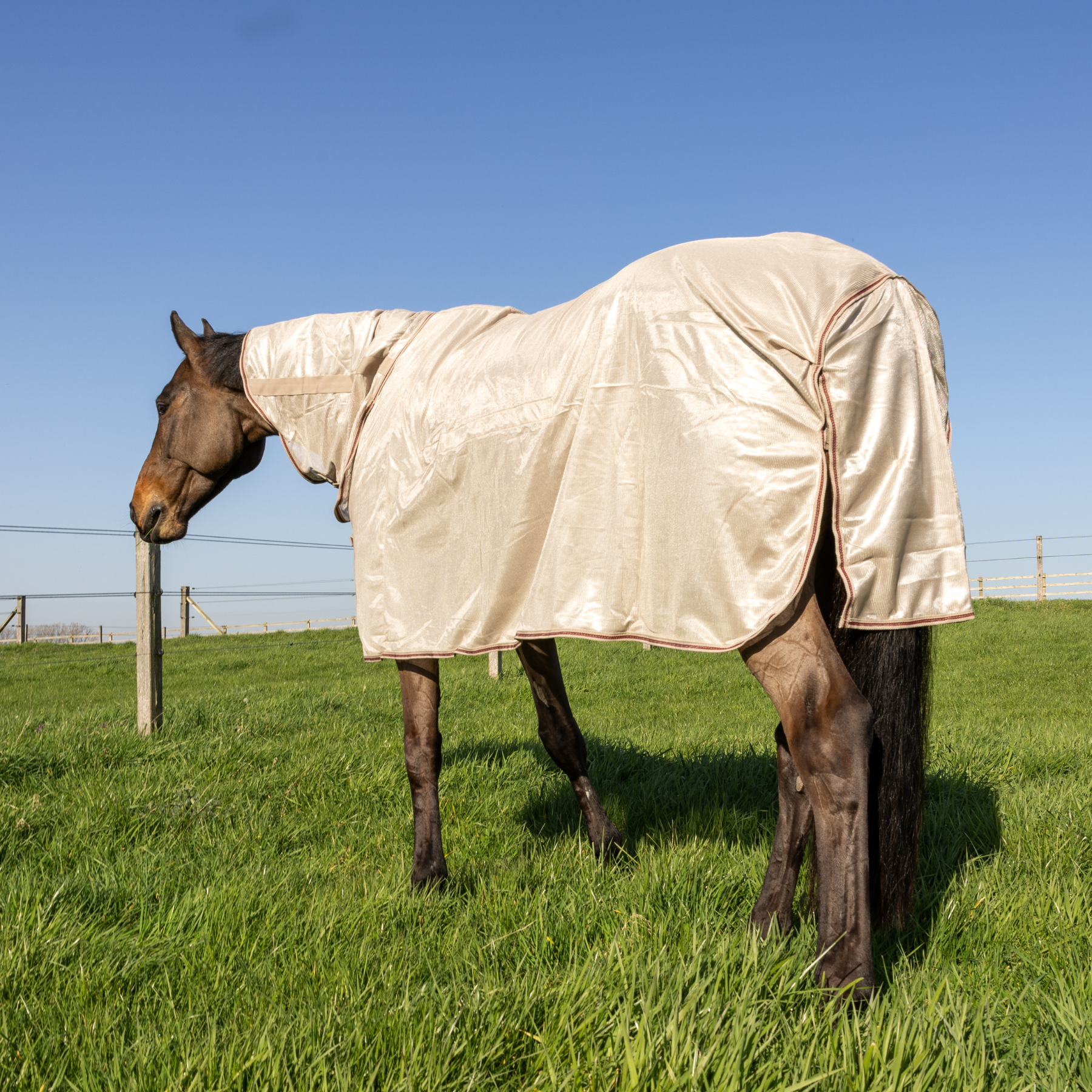 Kentucky Horsewear Mesh Fly Rug Comfort Classic with Neck &amp; Belly Cover