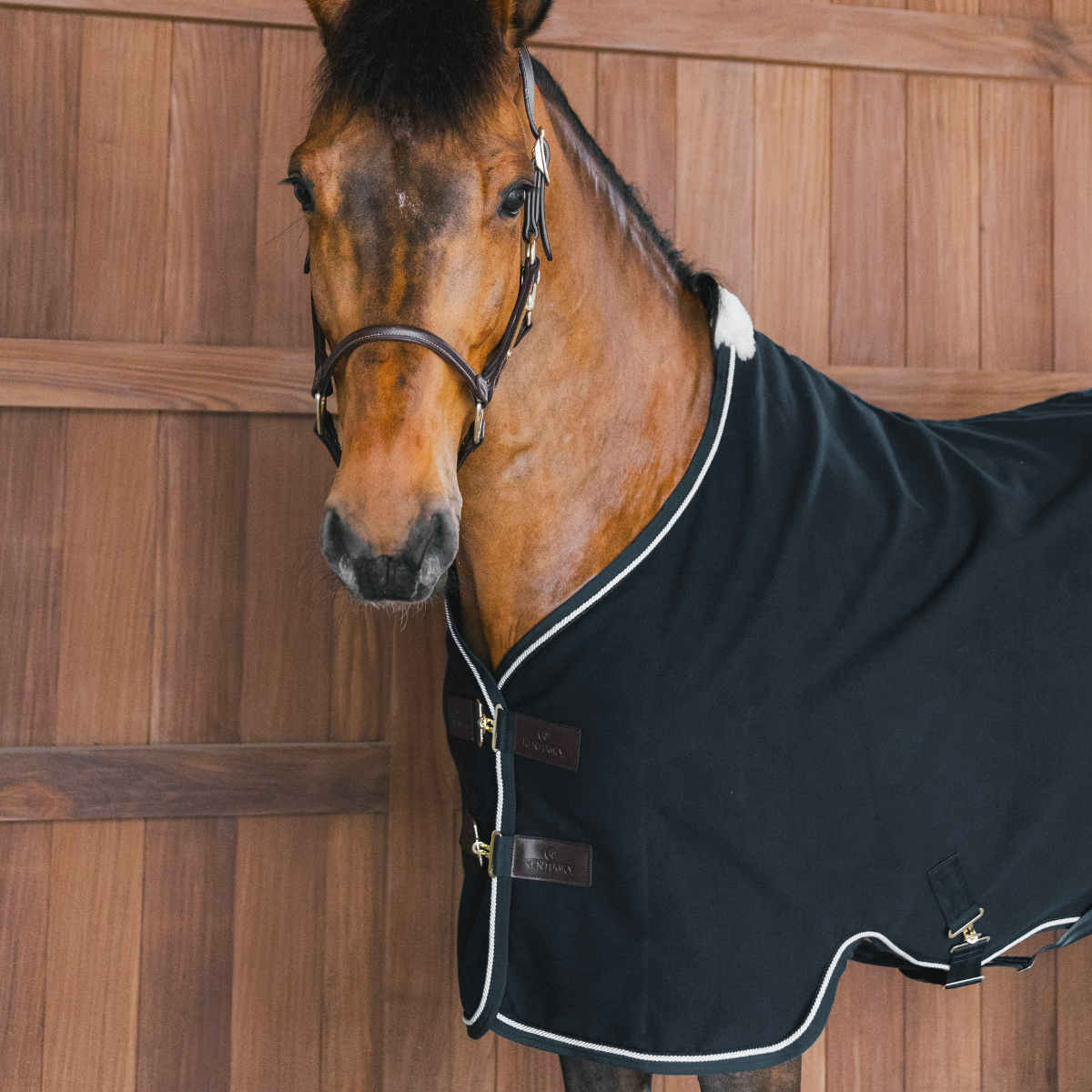 Kentucky Horsewear Fleece Rug Vegan Wool, Black