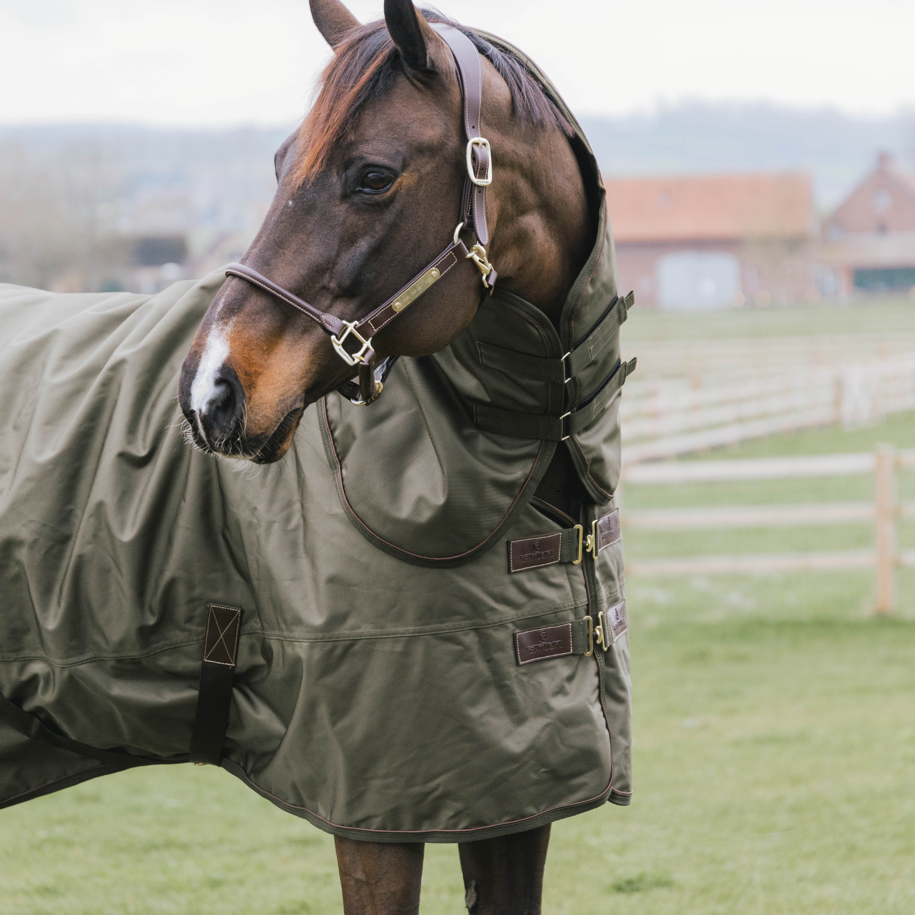 Kentucky Horsewear Turnout Rug All Weather Waterproof Pro, Khaki