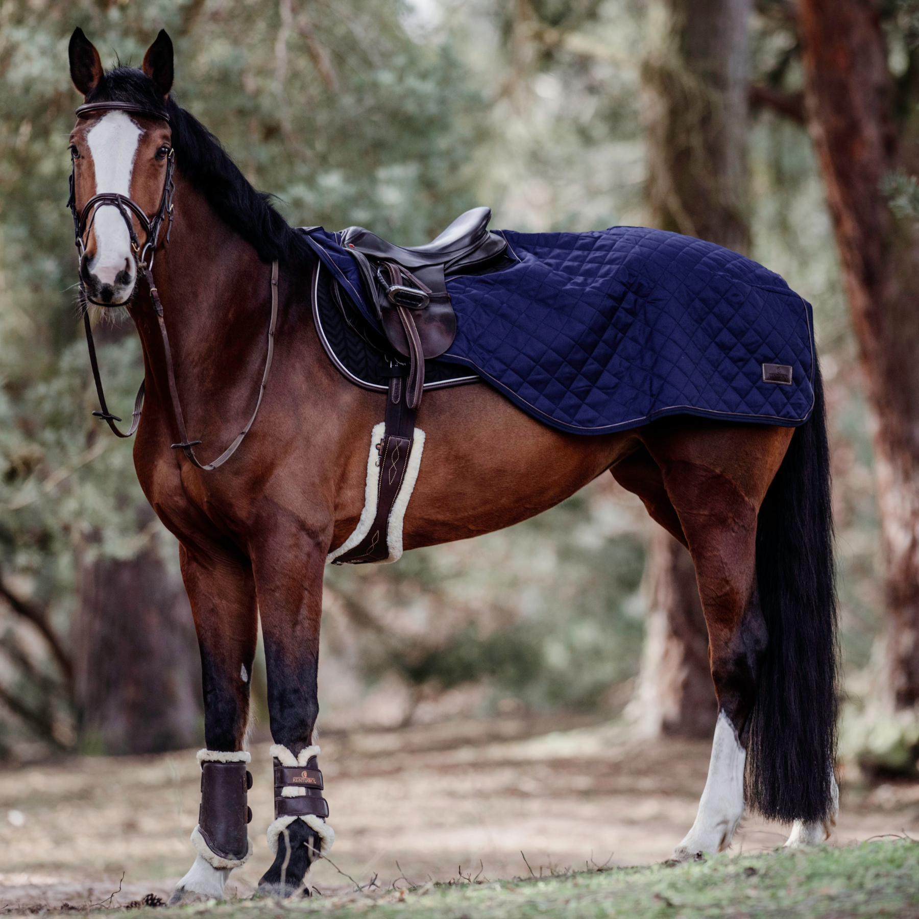 Kentucky Horsewear Riding Rug, Navy