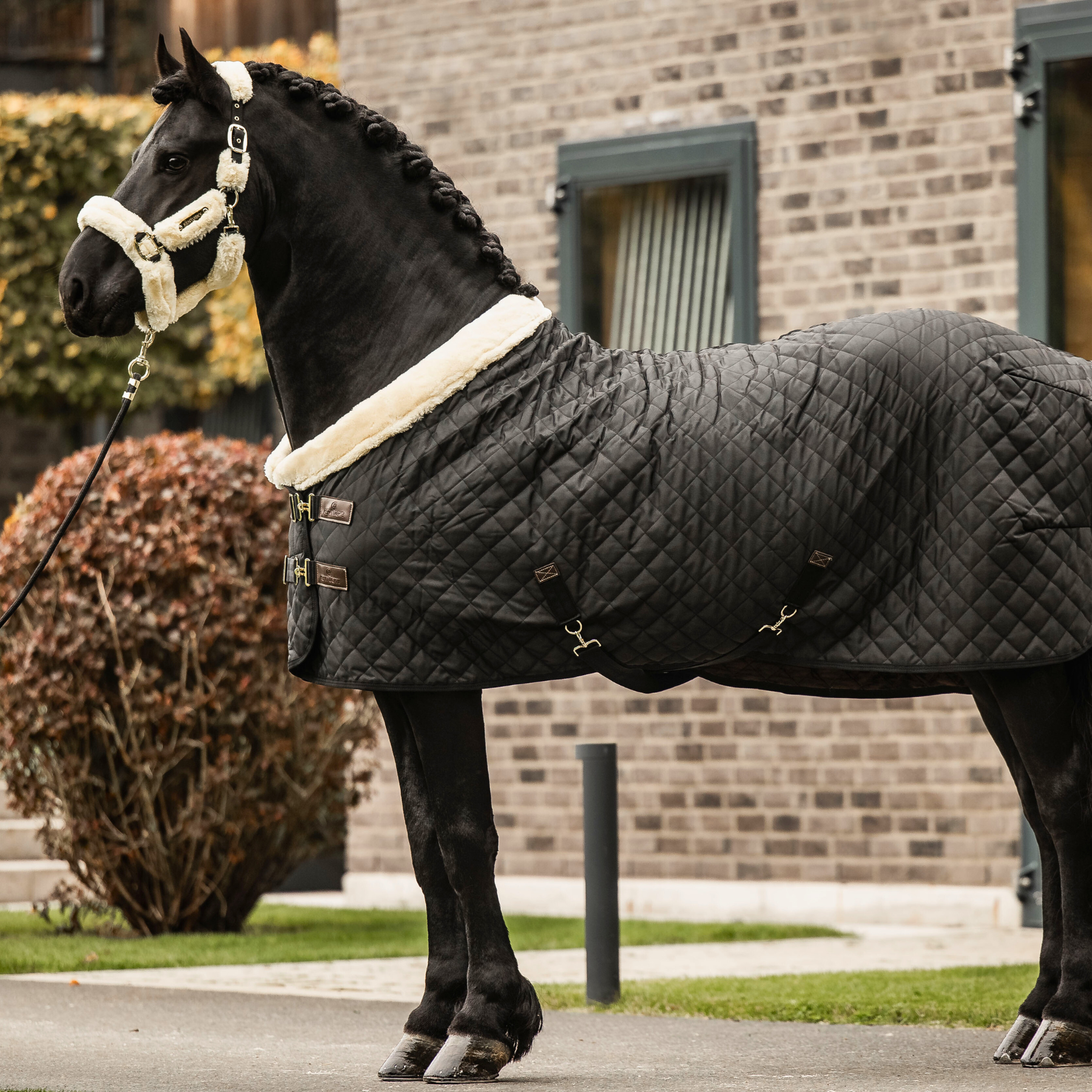 Kentucky Horsewear Show Rug, Brown