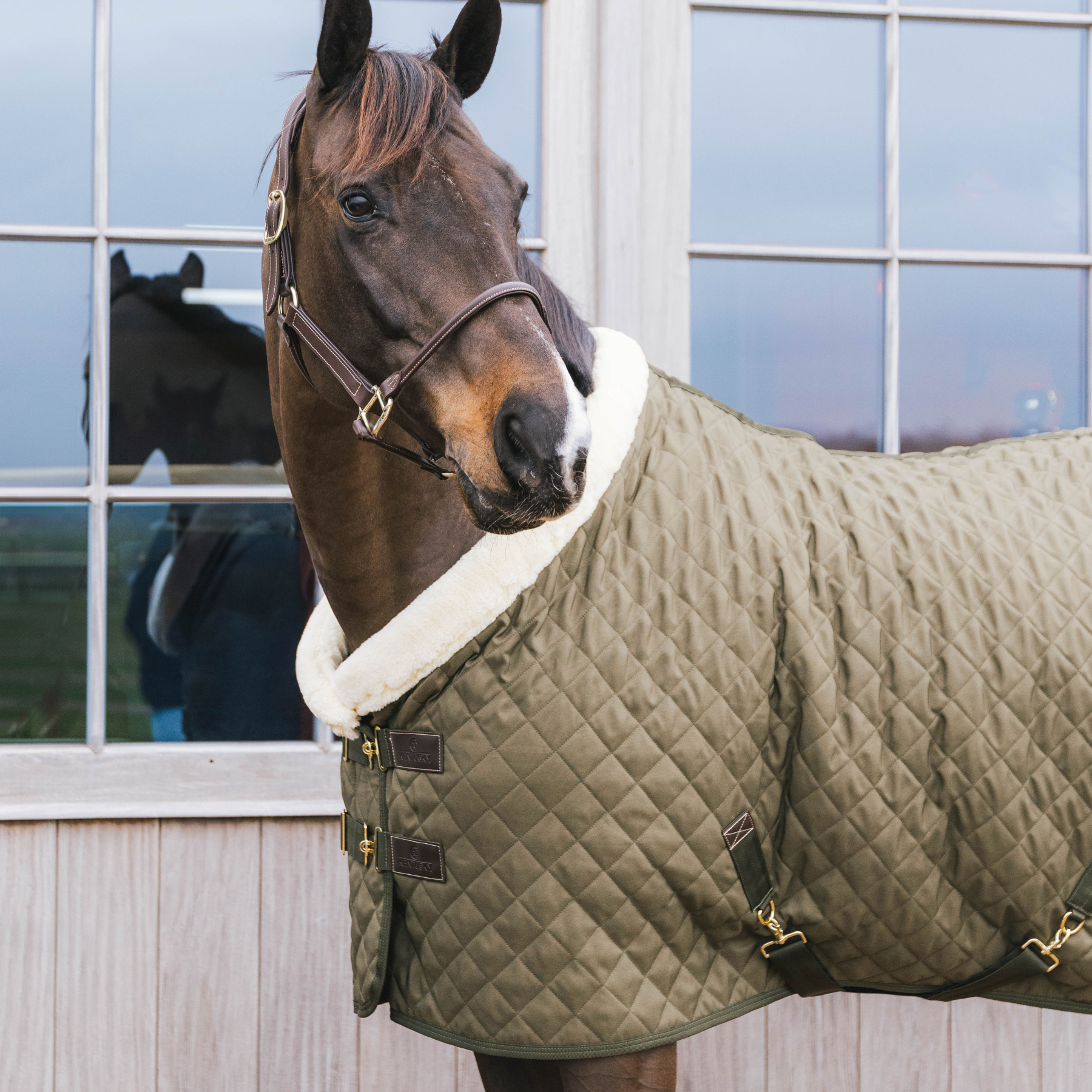 Kentucky Horsewear Show Rug, Khaki