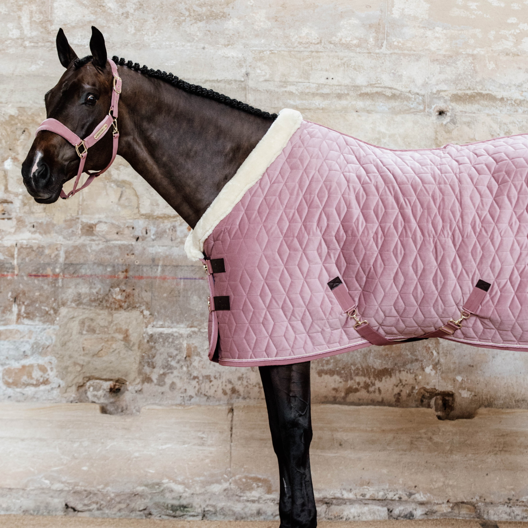 Kentucky Horsewear Show Rug Velvet 160g, Old Rose