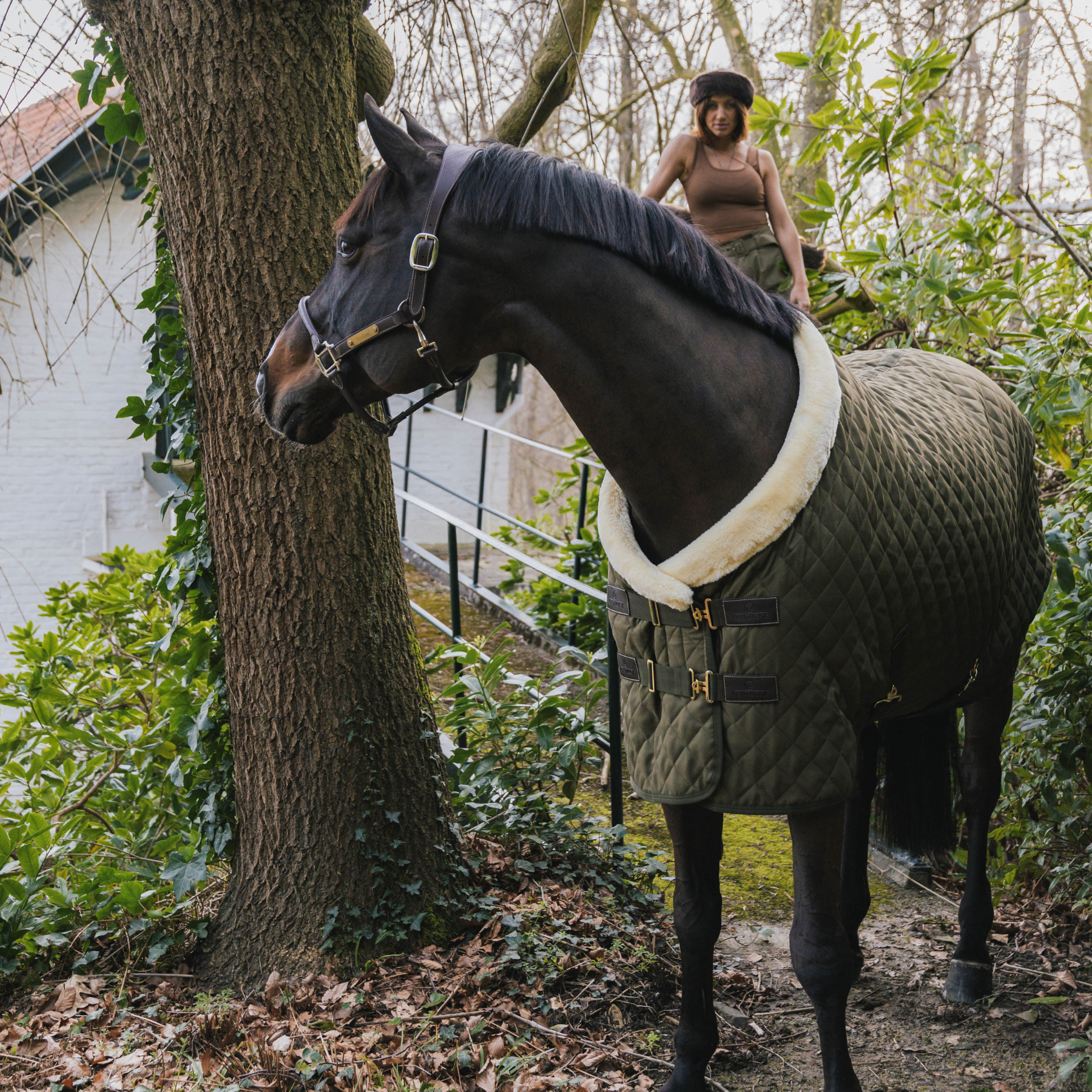 Kentucky Horsewear Show Rug, Khaki