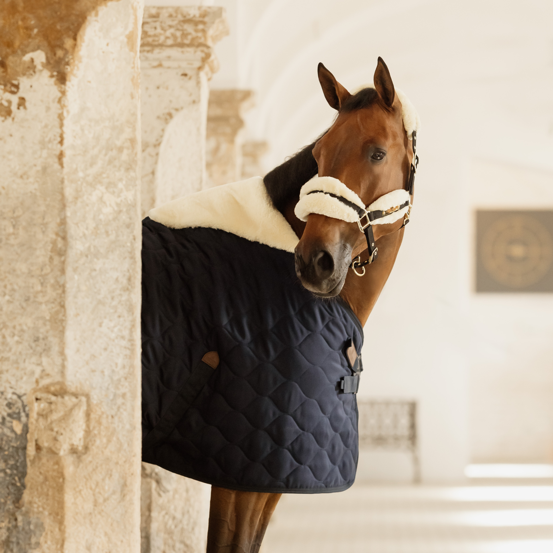 Kentucky Horsewear Stable Rug Comfort, Navy