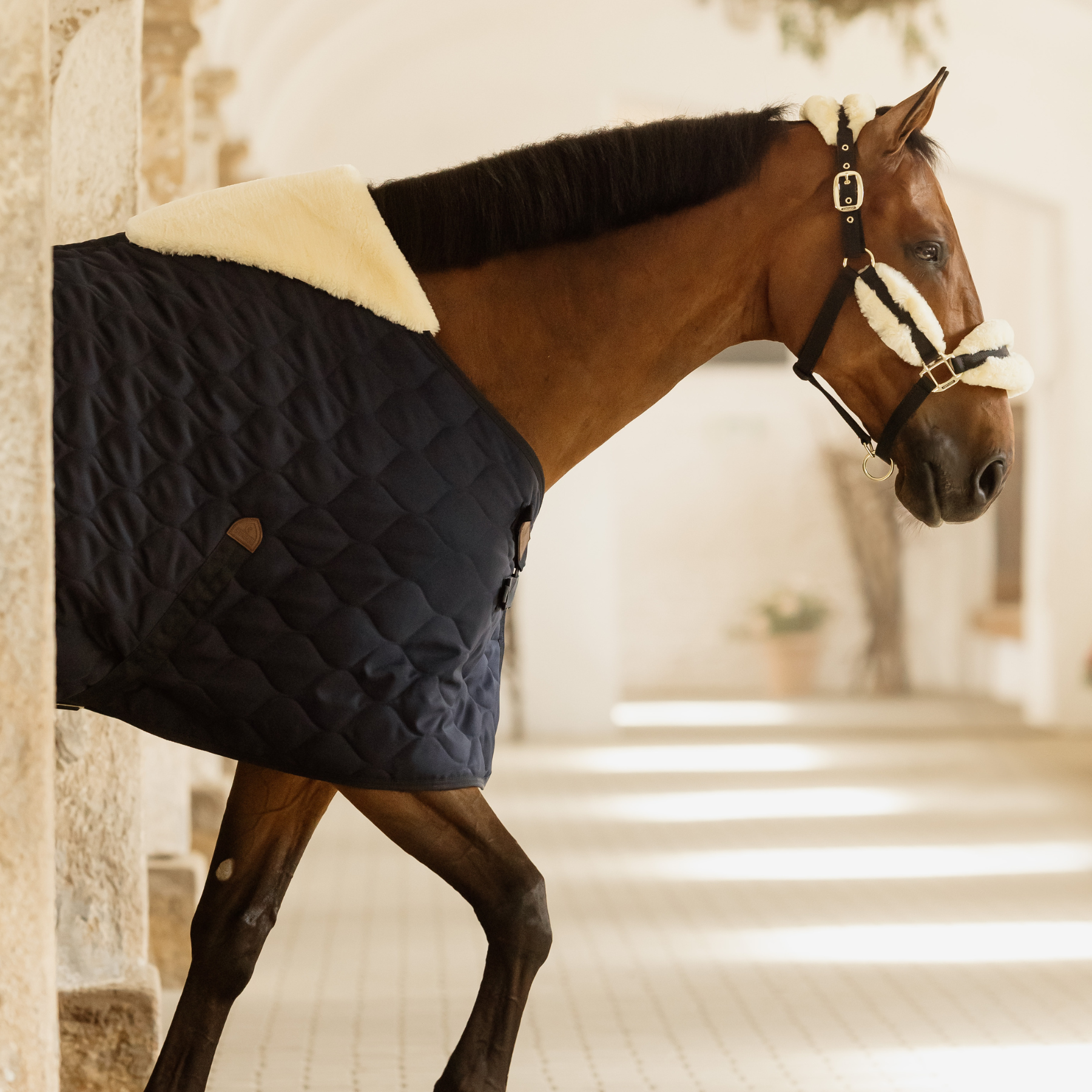 Kentucky Horsewear Stable Rug Comfort, Navy