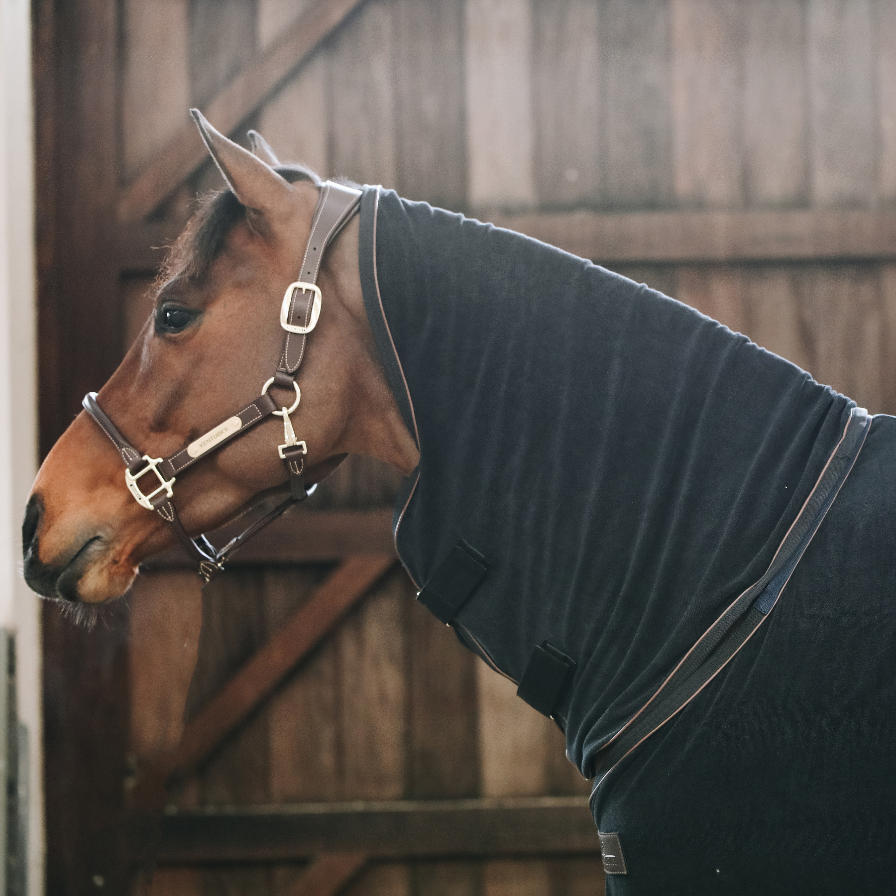 Kentucky Horsewear Towel Rug