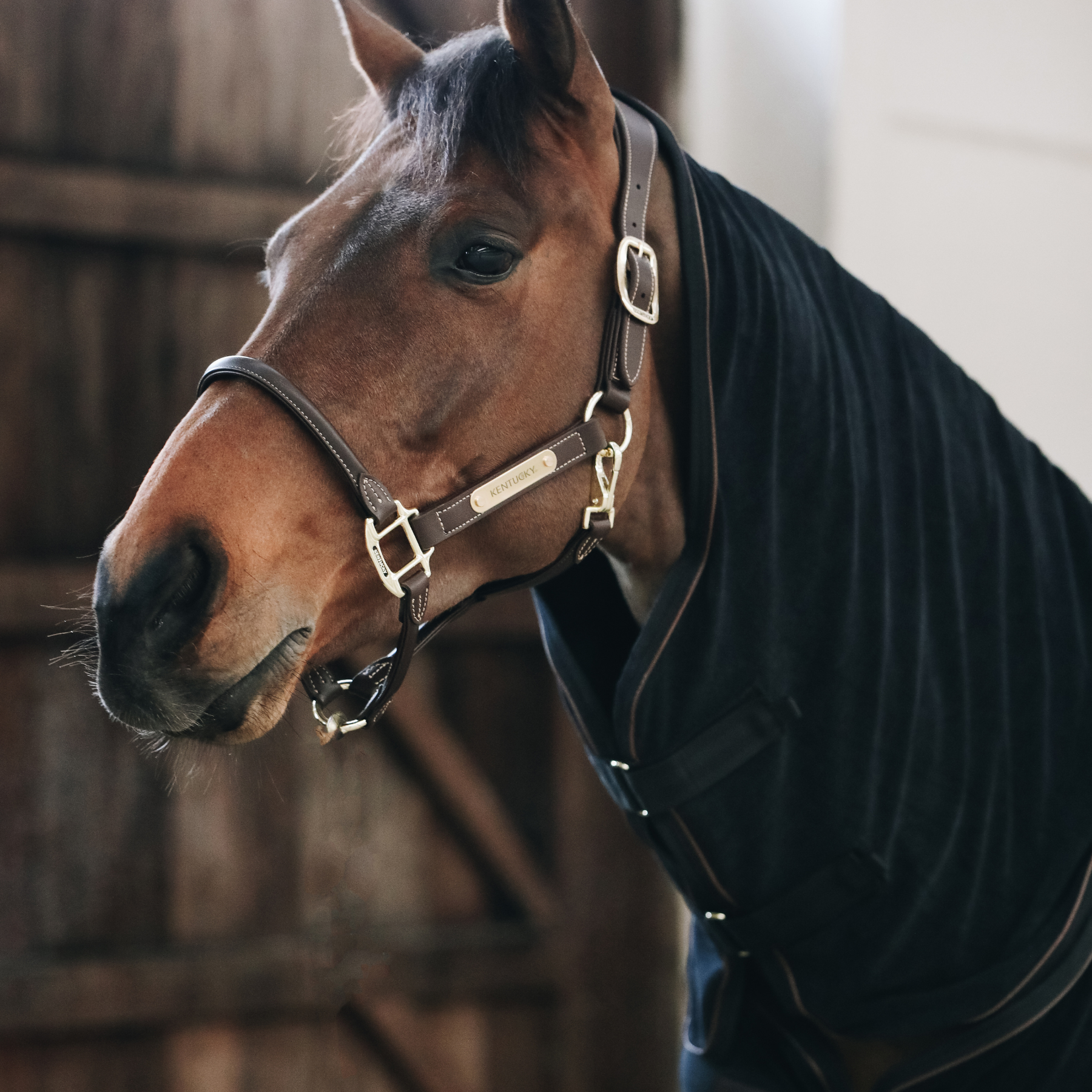 Kentucky Horsewear Towel Rug