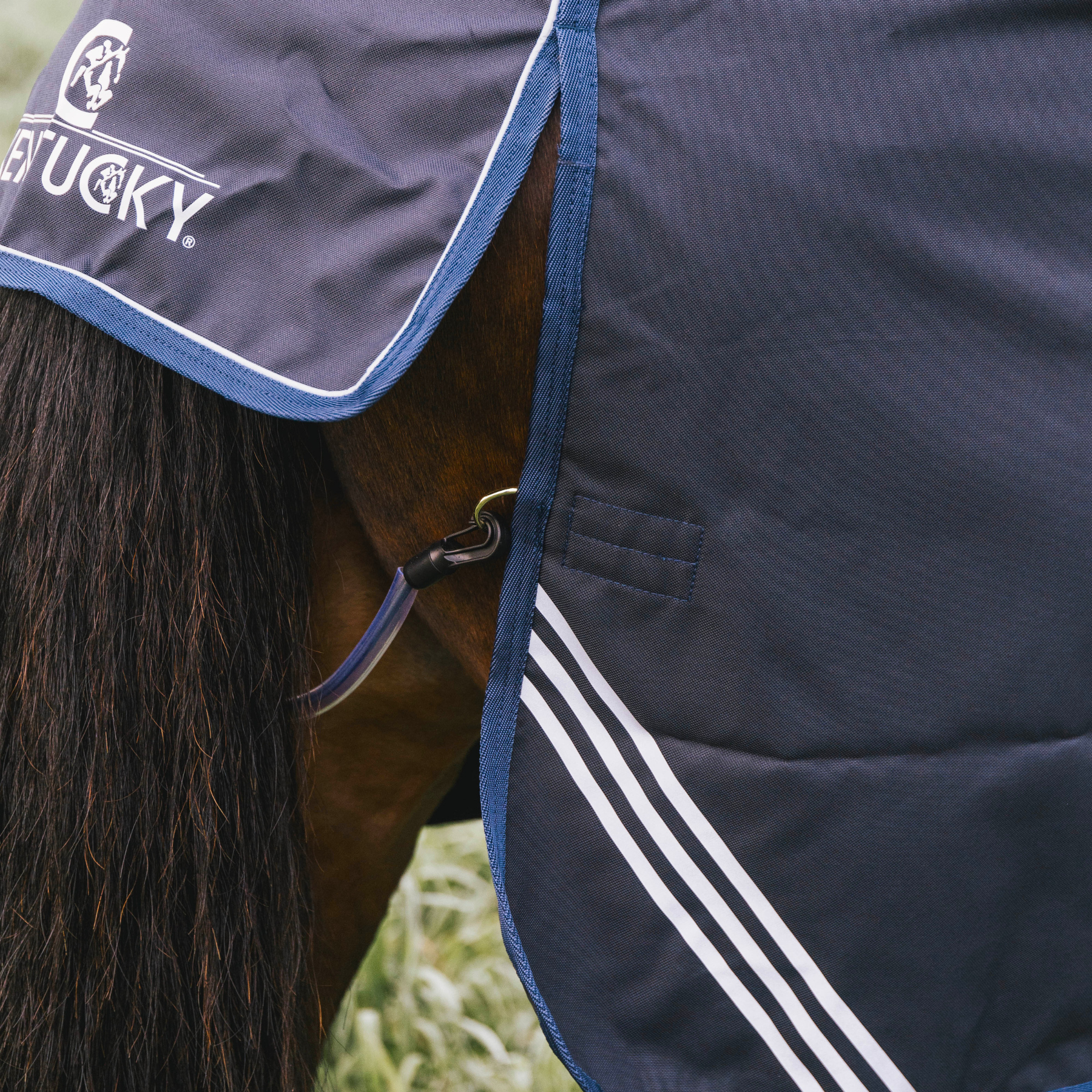 Kentucky Horsewear Turnout Rug All Weather Waterproof Comfort, Navy