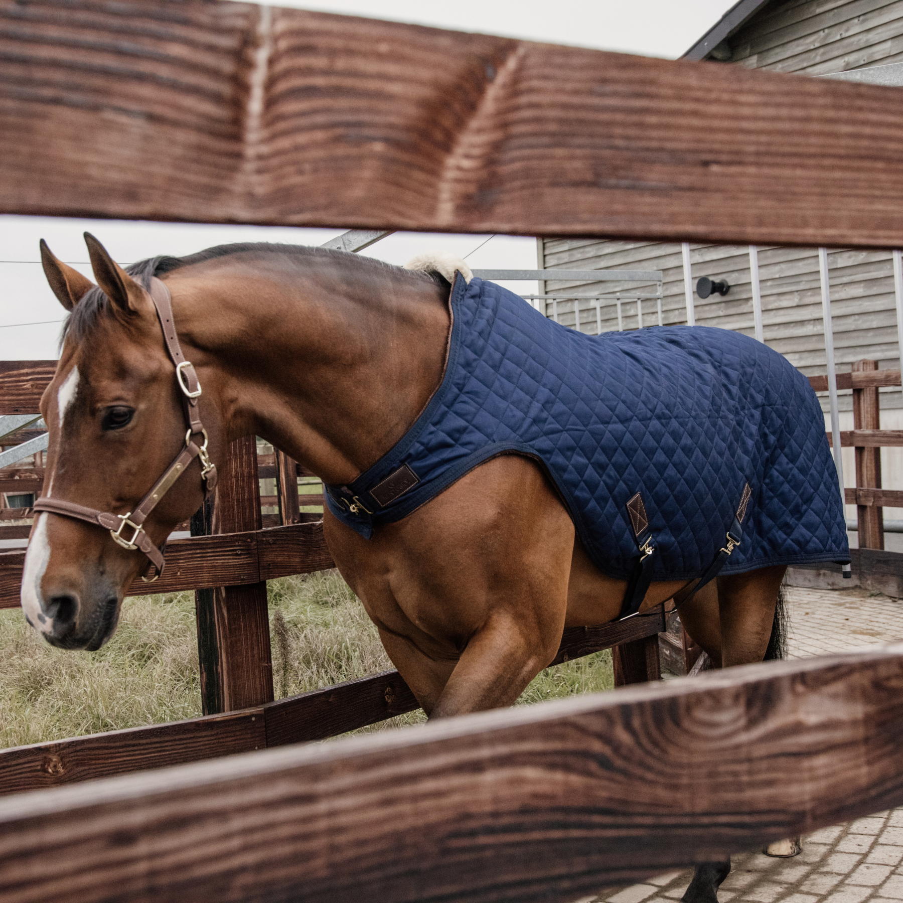 Kentucky Horsewear Walker Rug