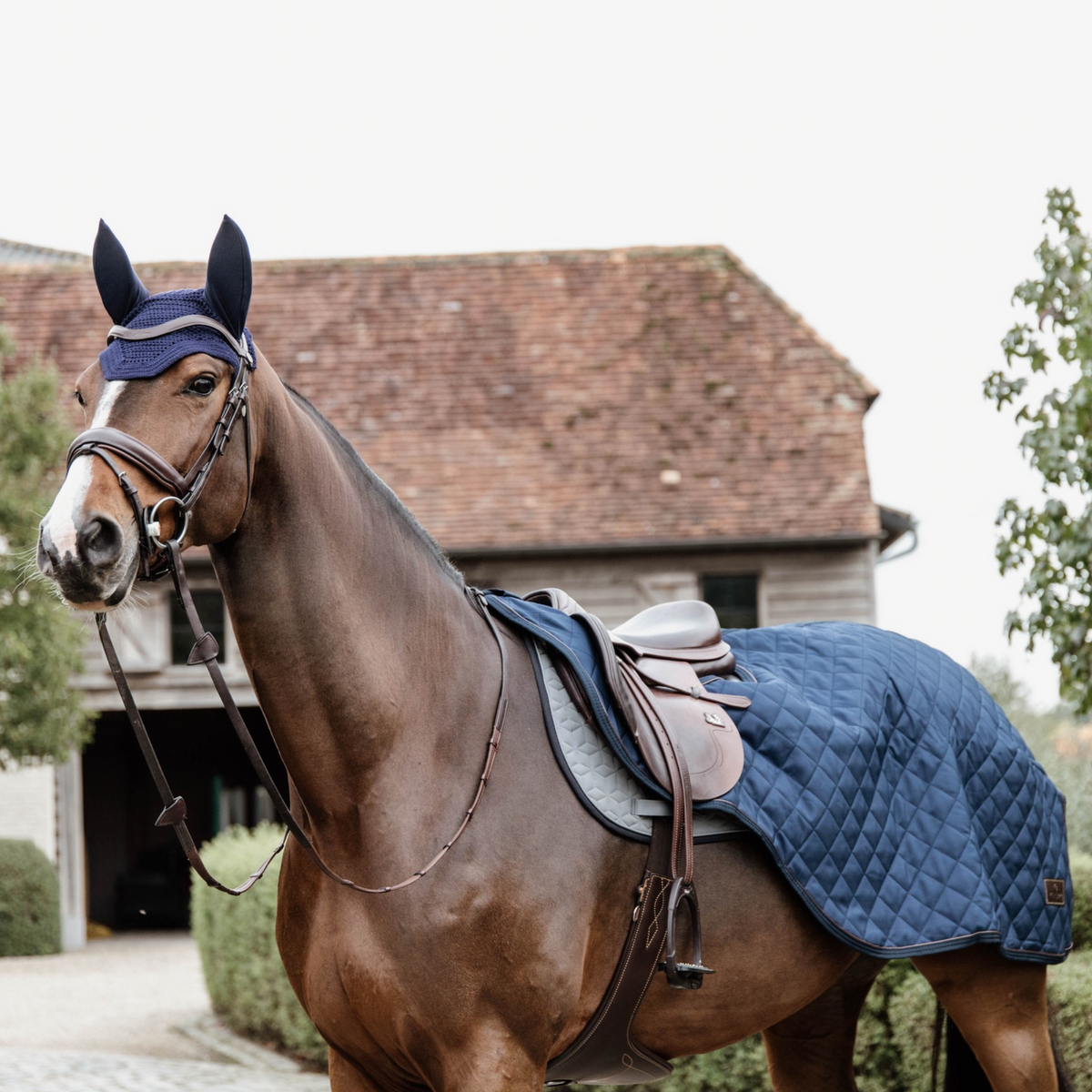 Kentucky Horsewear Riding Rug, Navy