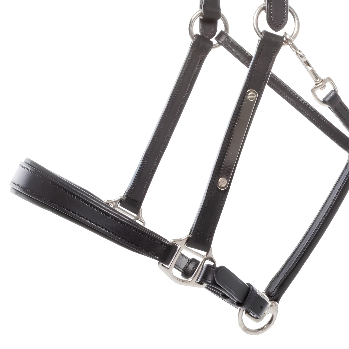 Kavalkade Bennett Leather Halter, Black with Silver