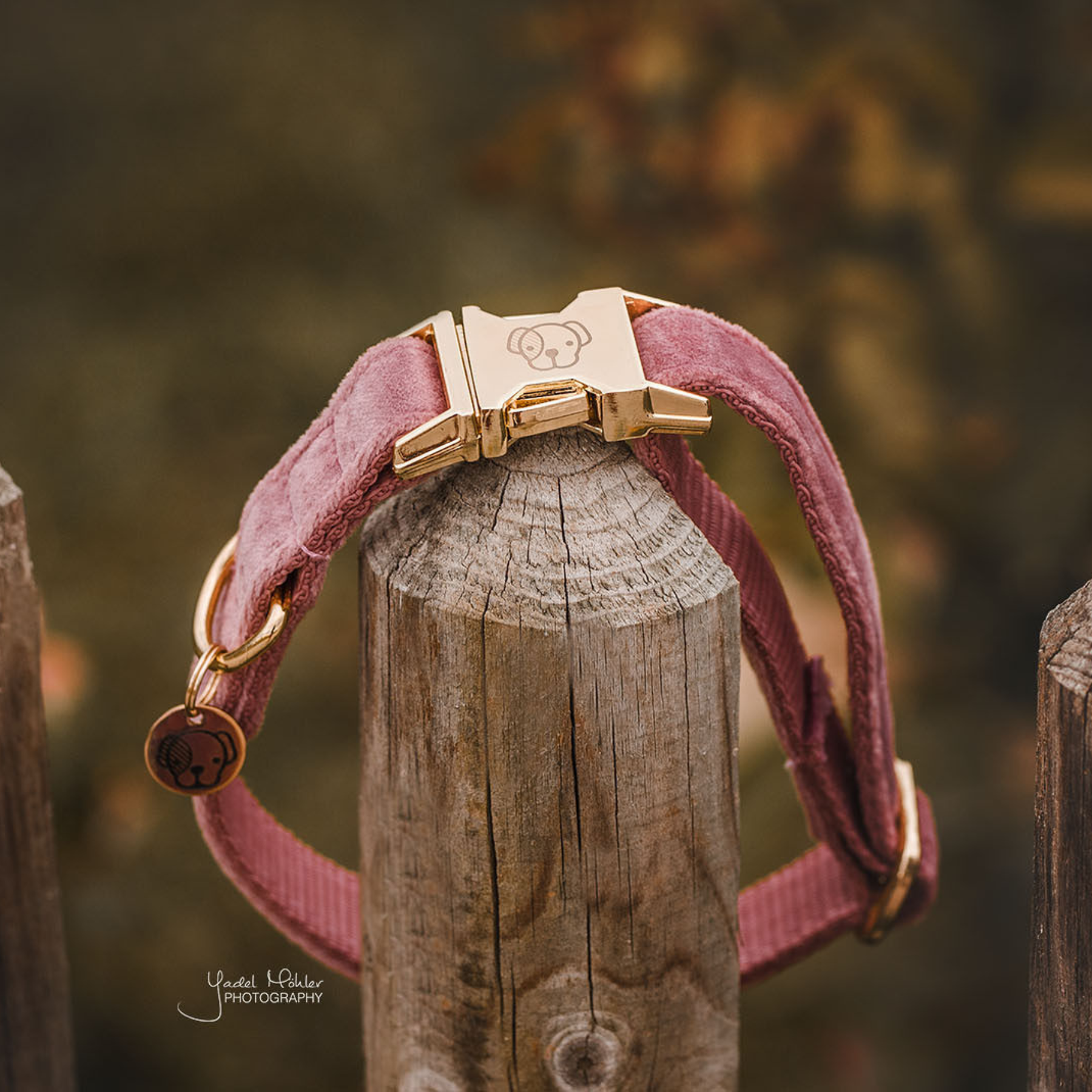 Kentucky Dog Collar Velvet, Old Rose