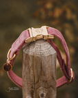 Kentucky Dog Collar Velvet, Old Rose