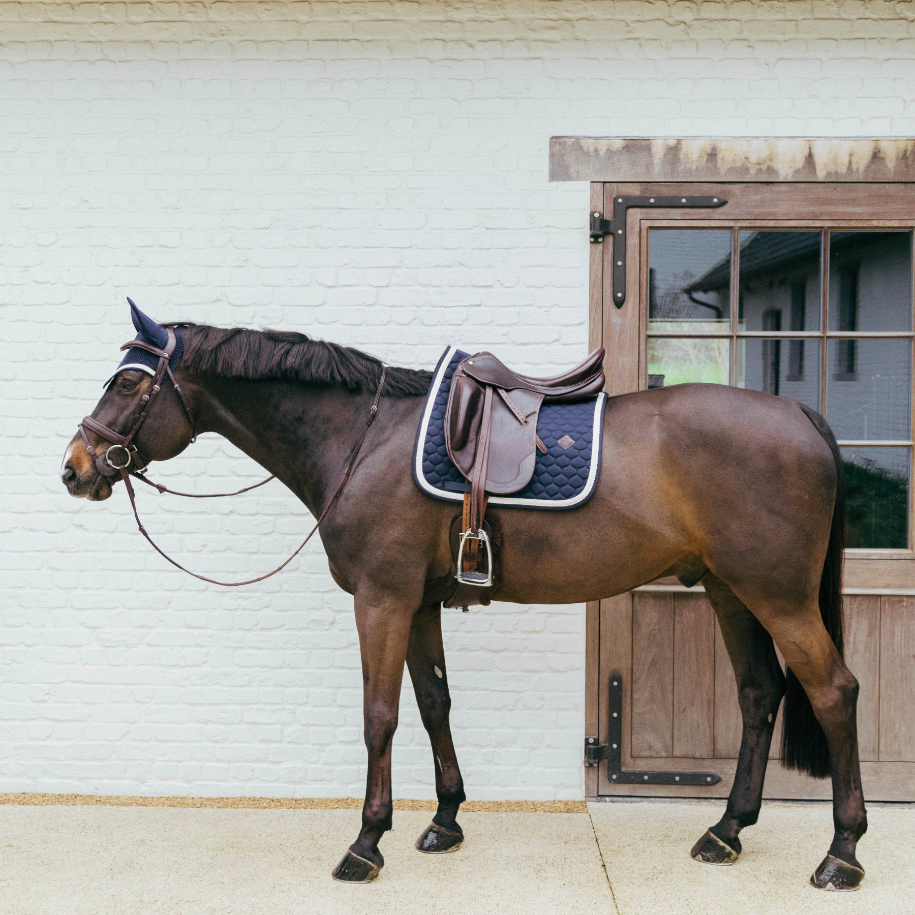 Kentucky Horsewear Dressage Saddle Pad with Plaited Cord, Navy