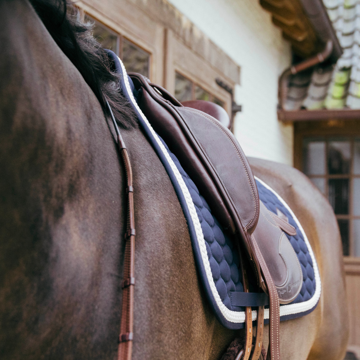 Kentucky Horsewear Dressage Saddle Pad with Plaited Cord, Navy