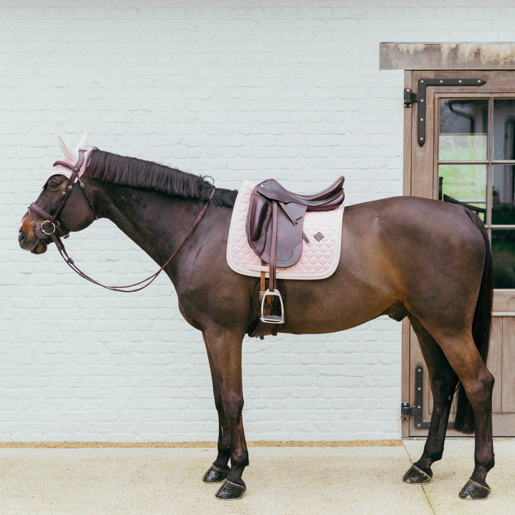 Kentucky Horsewear Dressage Saddle Pad with Plaited Cord, Soft Rose