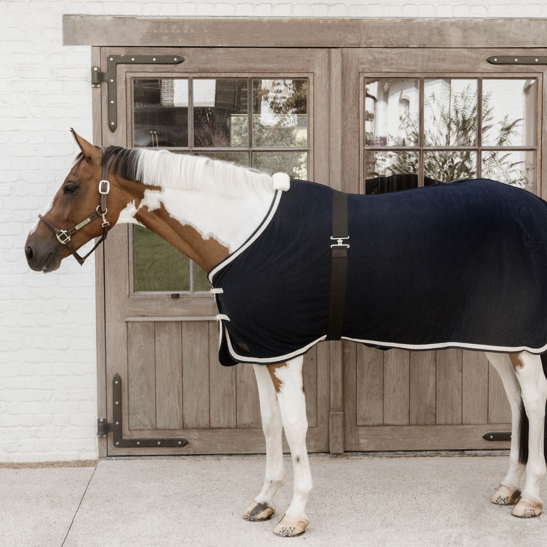 Kentucky Horsewear Elastic Rug Belt, Black