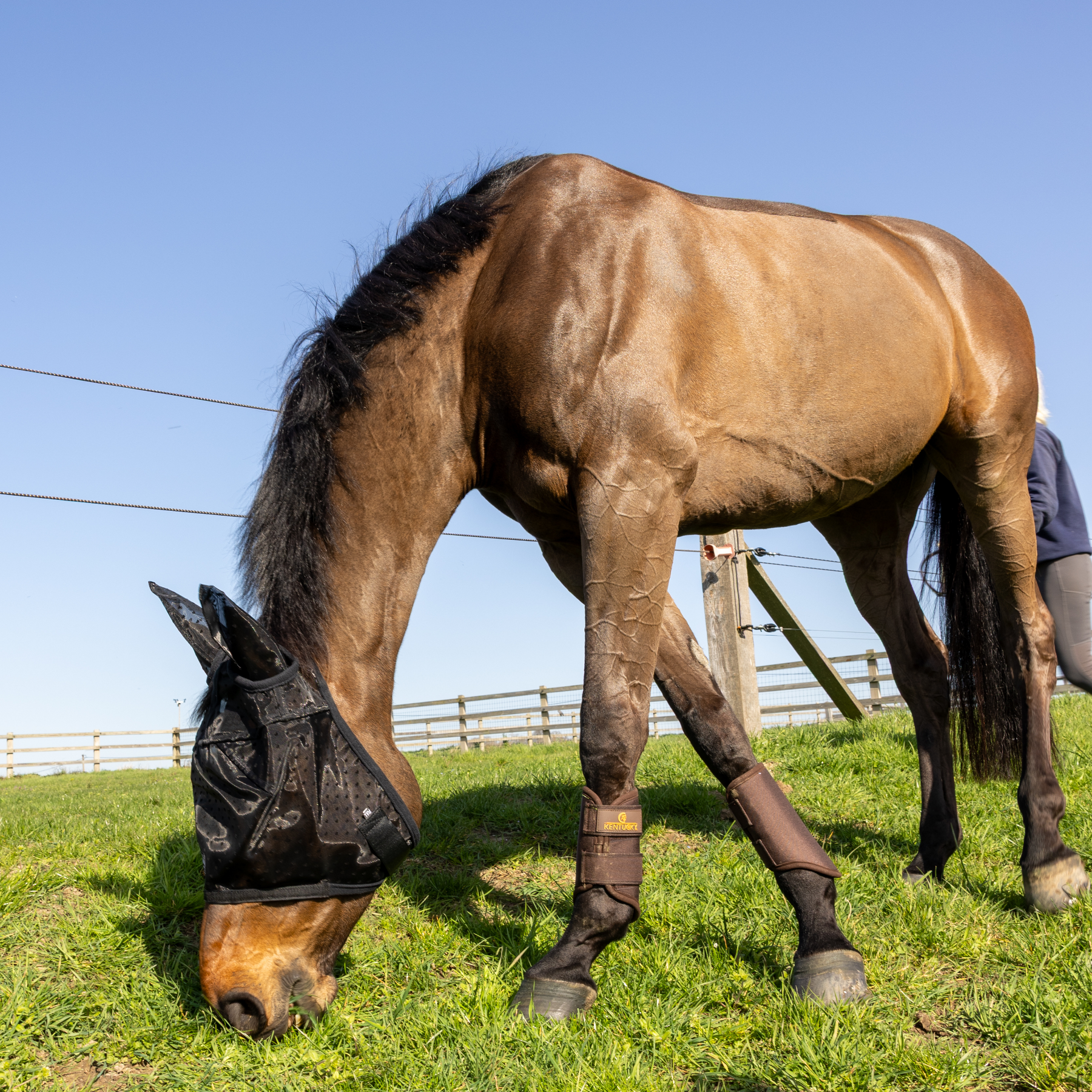 Kentucky Horsewear Fly Mask Heart with Ears and Nose, Black