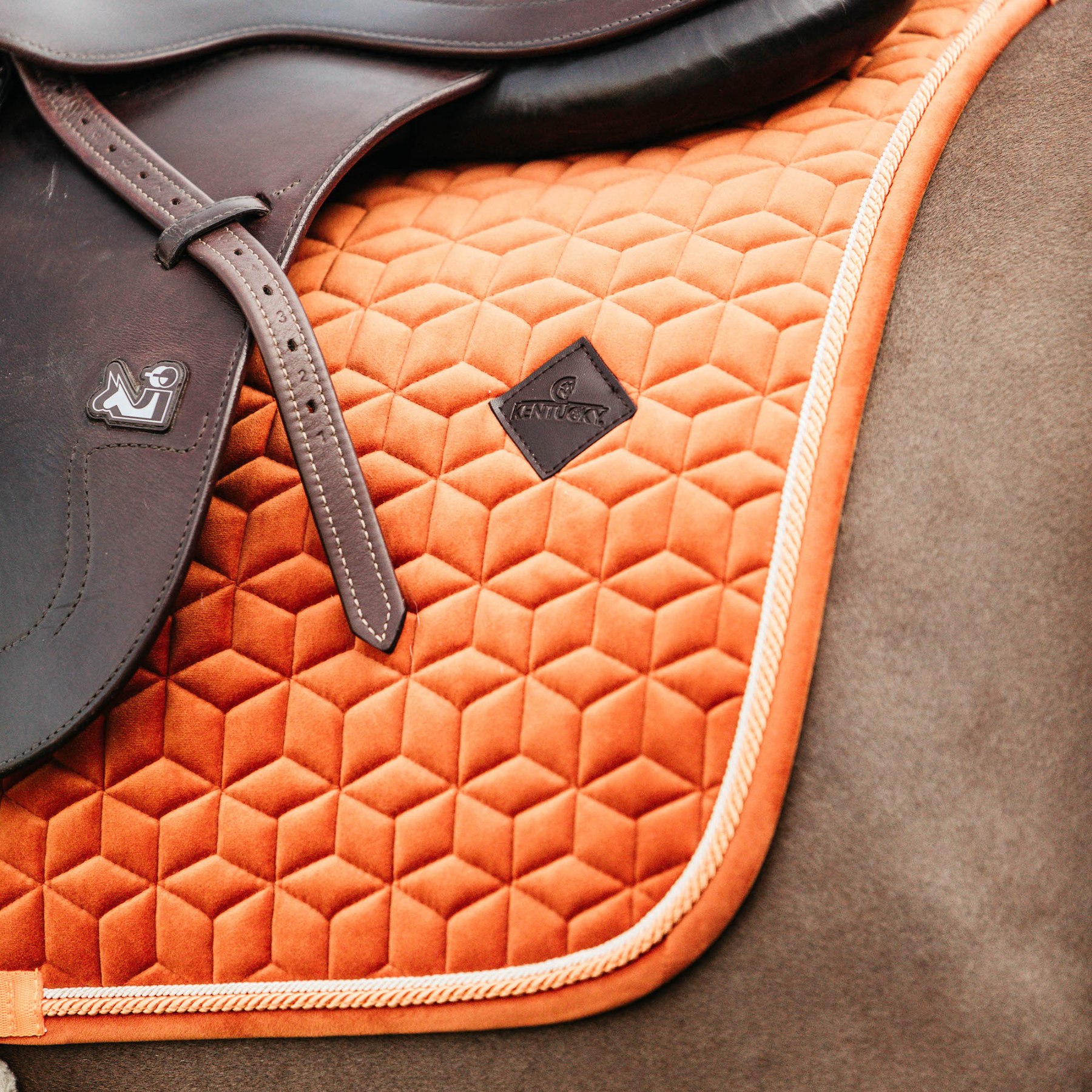 Kentucky Horsewear Saddle Pad Velvet Jumping Orange Edition