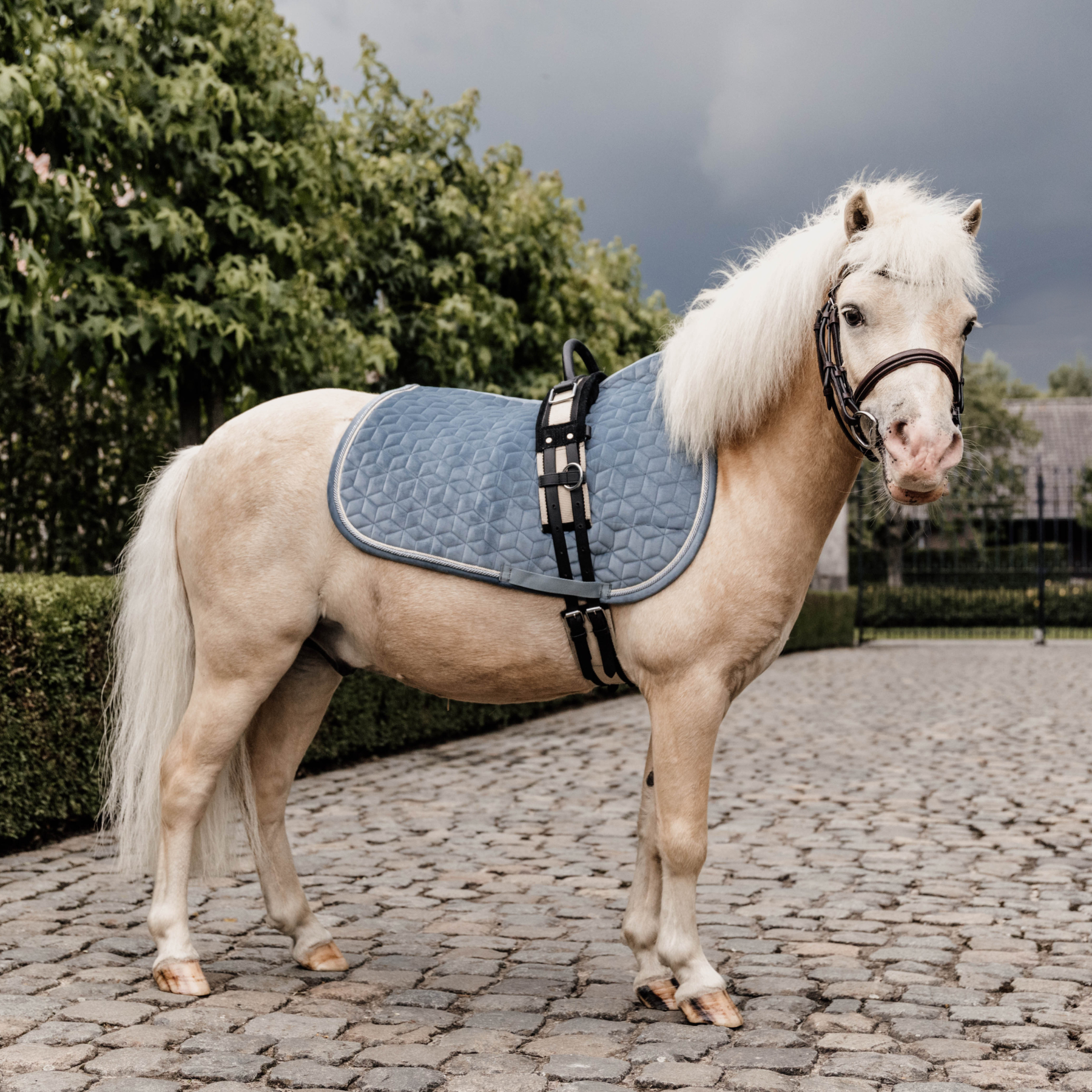 Kentucky Horsewear Saddle Pad Velvet, Pony