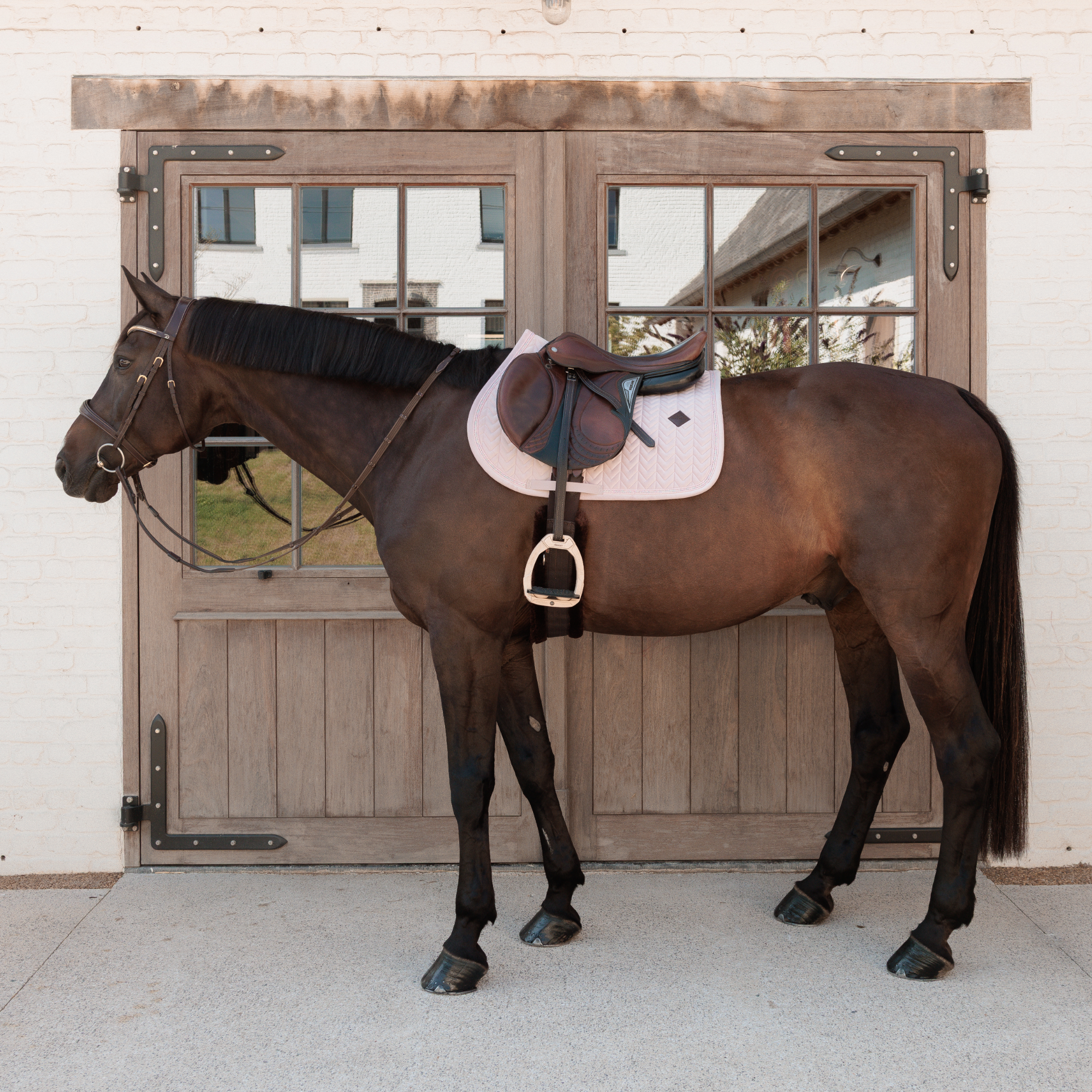 Kentucky Horsewear Saddle Pad Velvet Mini Pearls Jumping, Old Rose