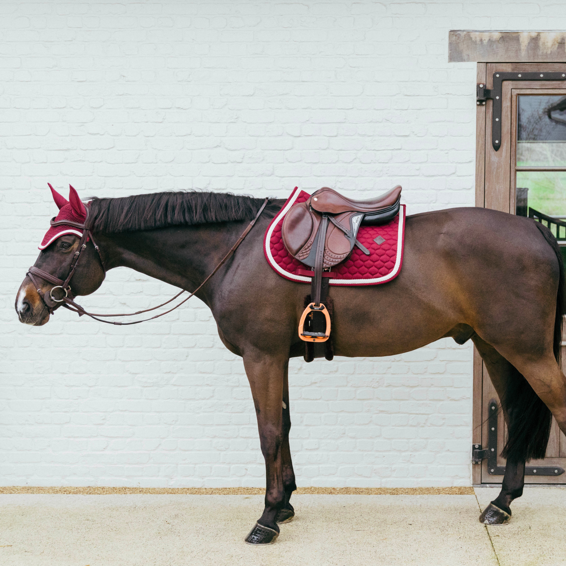 Kentucky Horsewear Show Jumping Saddle Pad with Plaited Cord, Bordeaux