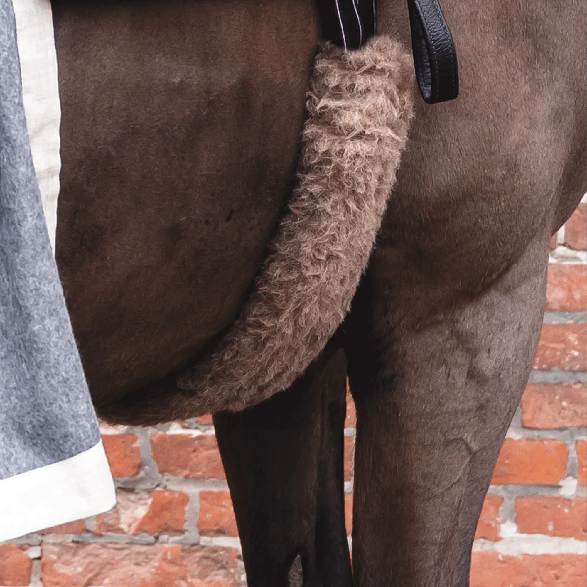 L&#39;Evoine Alpaca Girth Protector