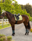 LeMieux Air-Tek Mesh Dressage Saddle Pad, Macaron