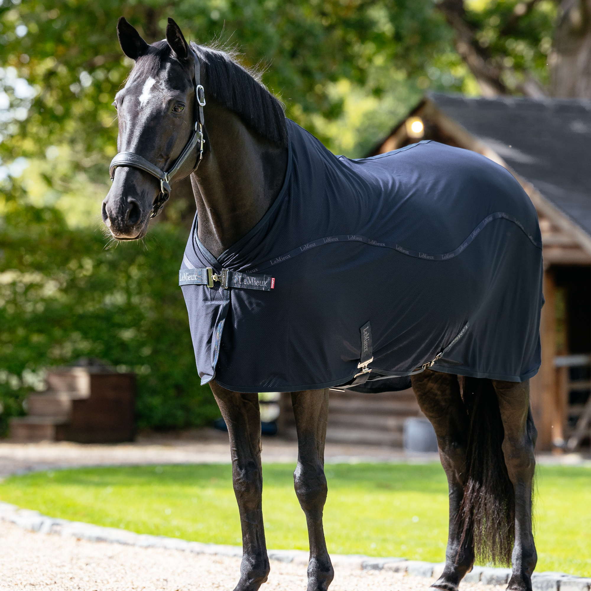 LeMieux Arika Air-Tek Sheet, Navy