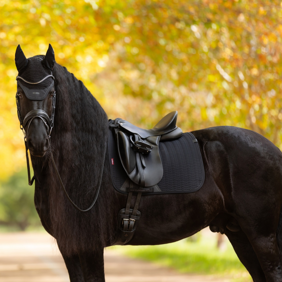 LeMieux Essence Dressage Saddle Pad, Black