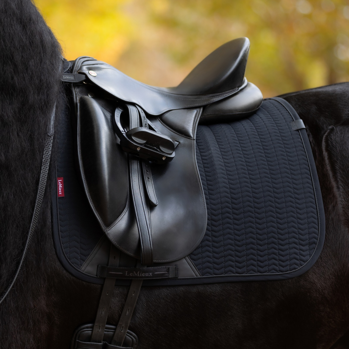 LeMieux Essence Dressage Saddle Pad, Black