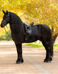 LeMieux Essence Dressage Saddle Pad, Black