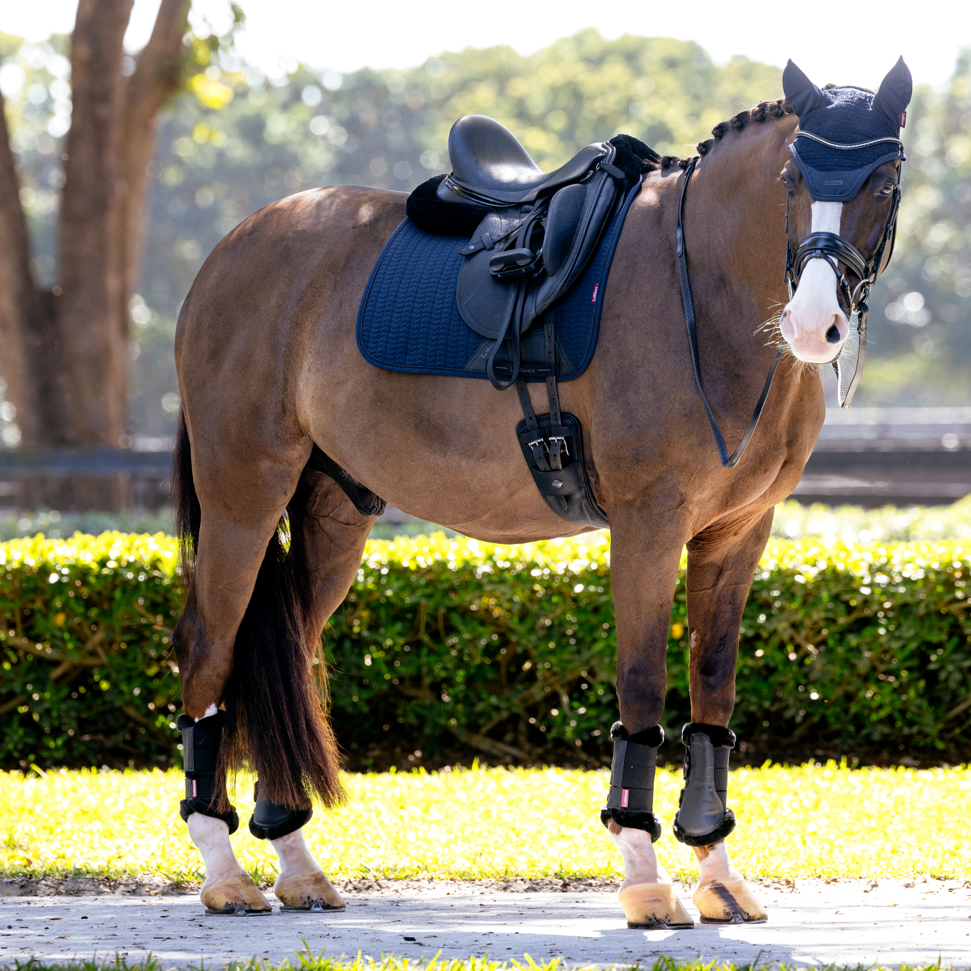 LeMieux Essence Dressage Saddle Pad, Navy