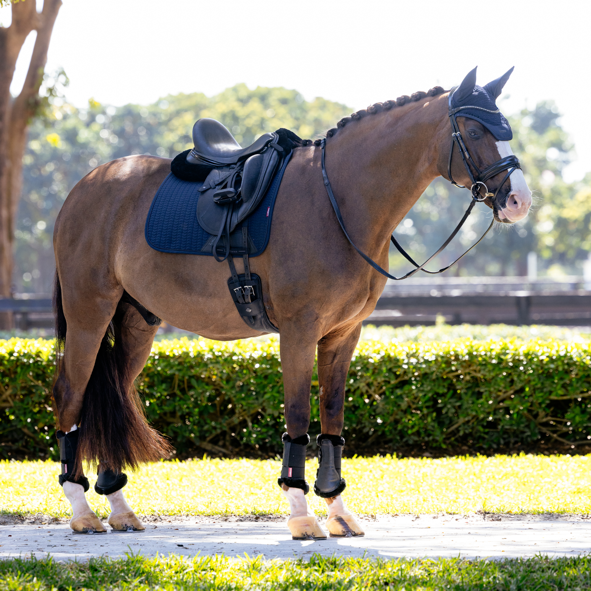 LeMieux Essence Dressage Saddle Pad, Navy