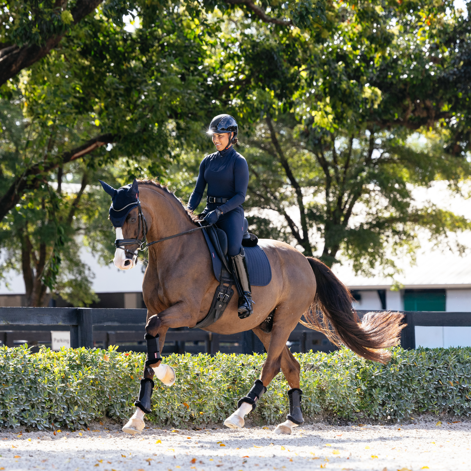 LeMieux Essence Dressage Saddle Pad, Navy