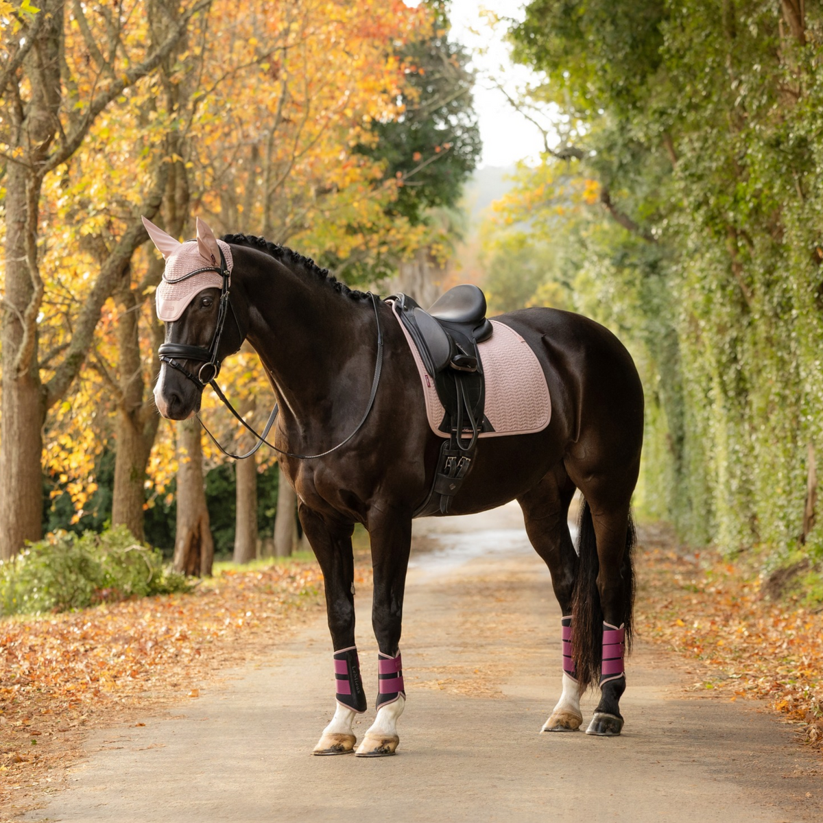 LeMieux Essence Dressage Saddle Pad, Wild Rose