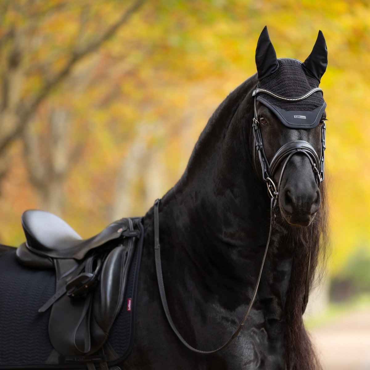 LeMieux Essence Fly Hood, Black