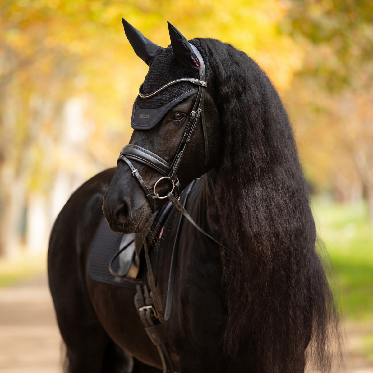 LeMieux Essence Fly Hood, Black