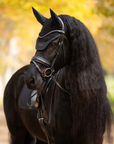 LeMieux Essence Fly Hood, Black