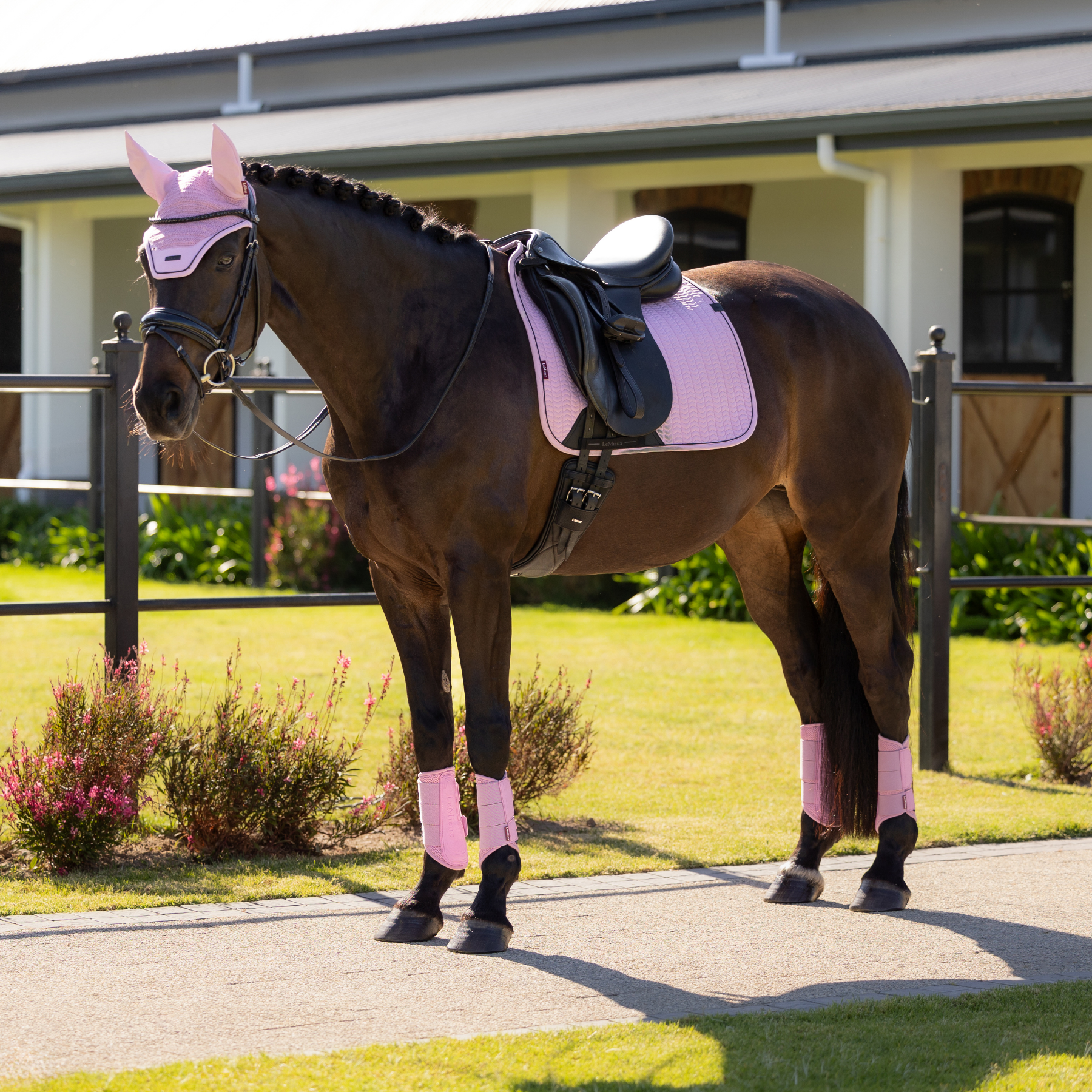 LeMieux Essence Dressage Saddle Pad, Fondant