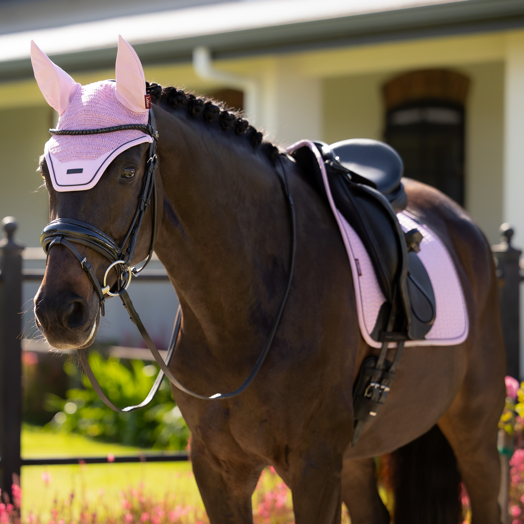 LeMieux Essence Dressage Saddle Pad, Fondant