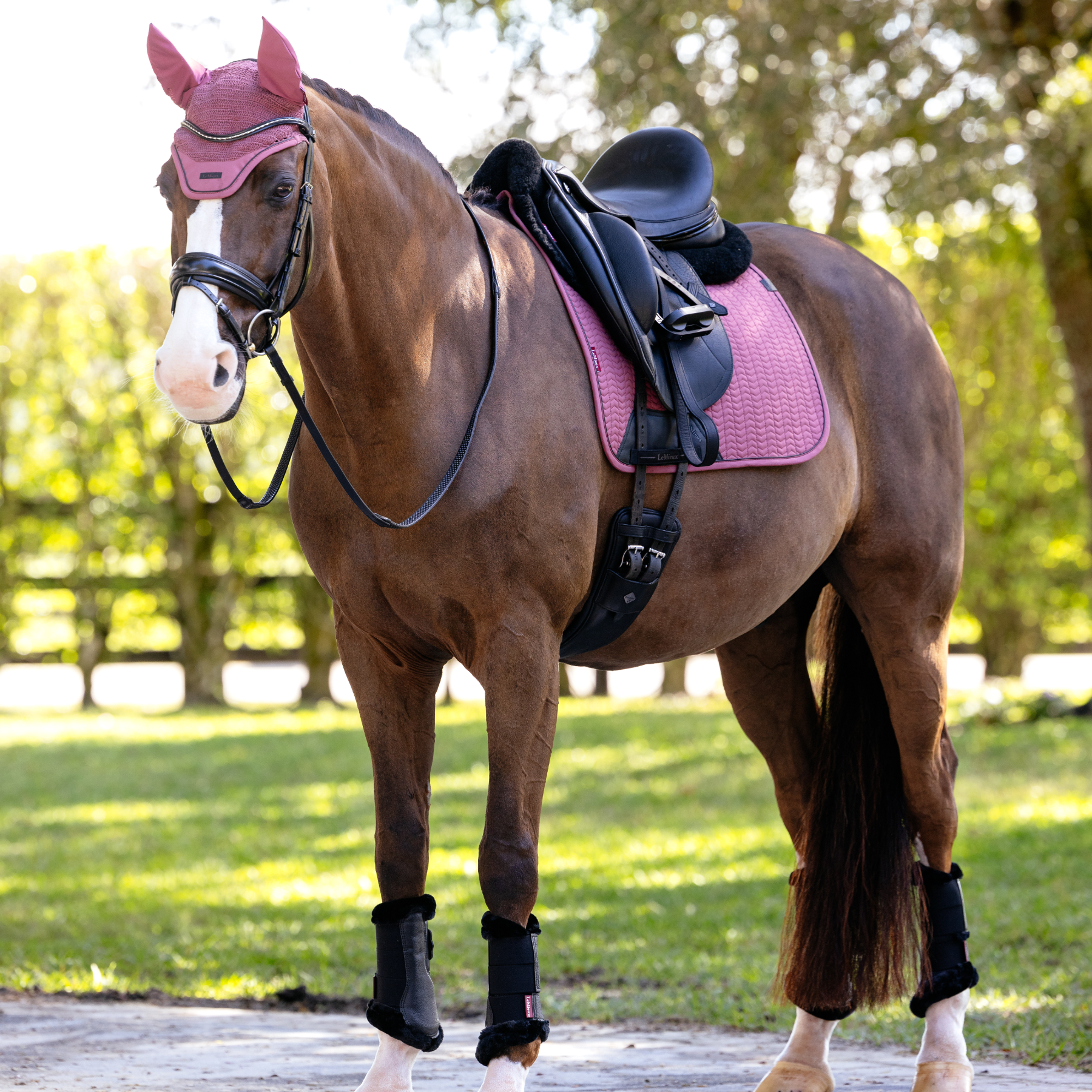 LeMieux Finesse Dressage Saddle Pad, Rosewood