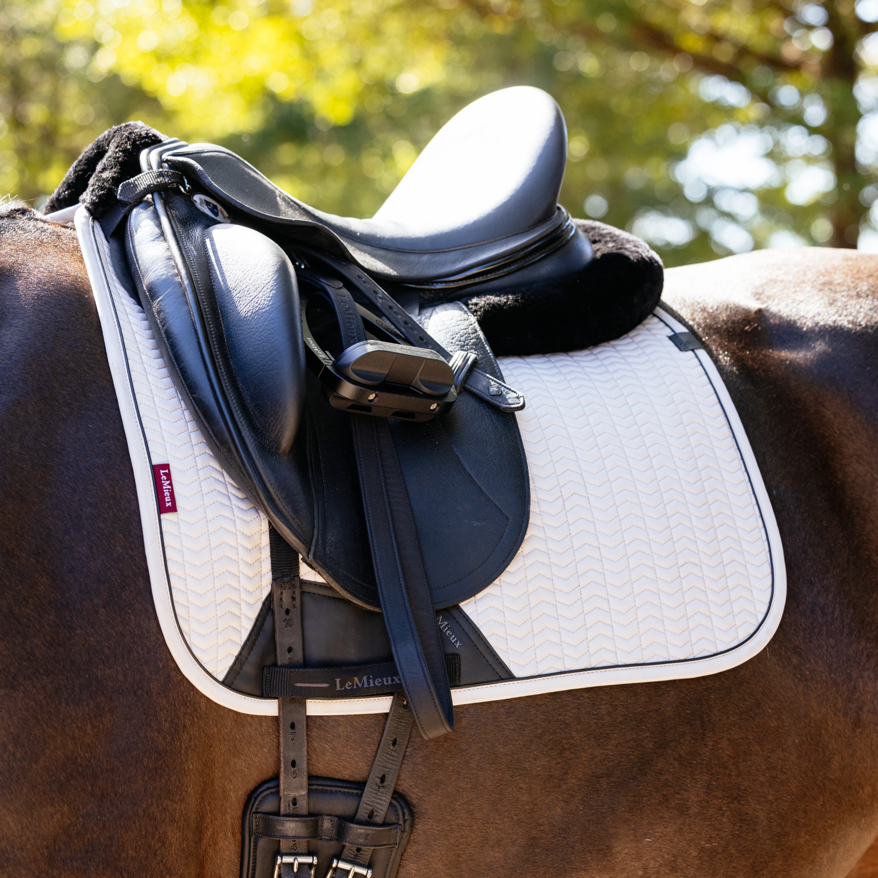 LeMieux Finesse Dressage Saddle Pad, Stone