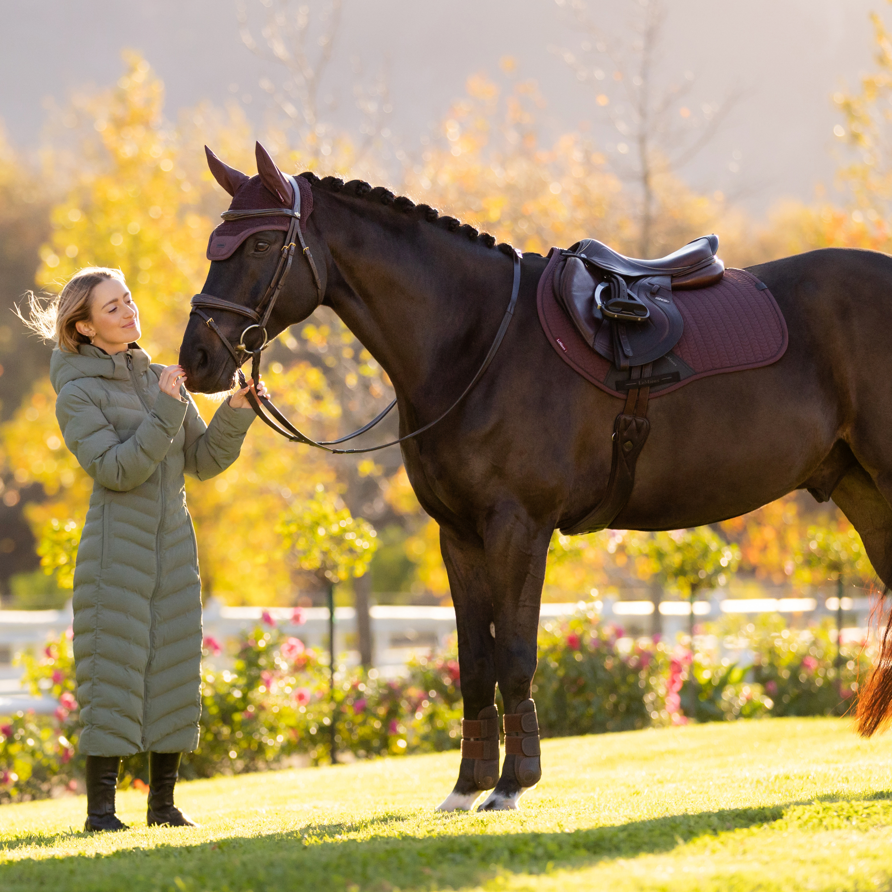LeMieux Finesse EuroJump Saddle Pad, Damson
