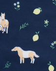 LeMieux Footsie Socks Horse/Navy