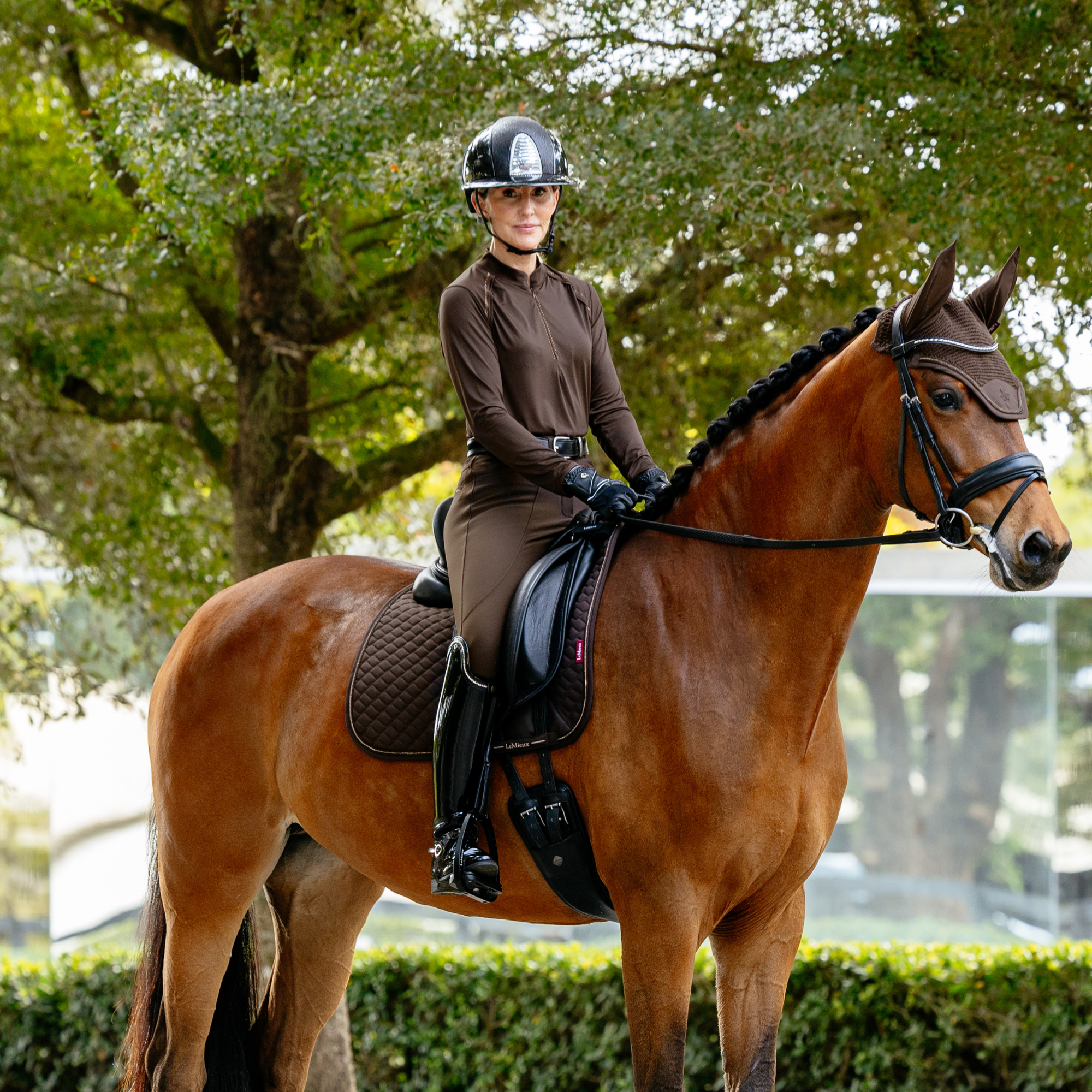 LeMieux Brilliance Dressage Saddle Pad, Espresso