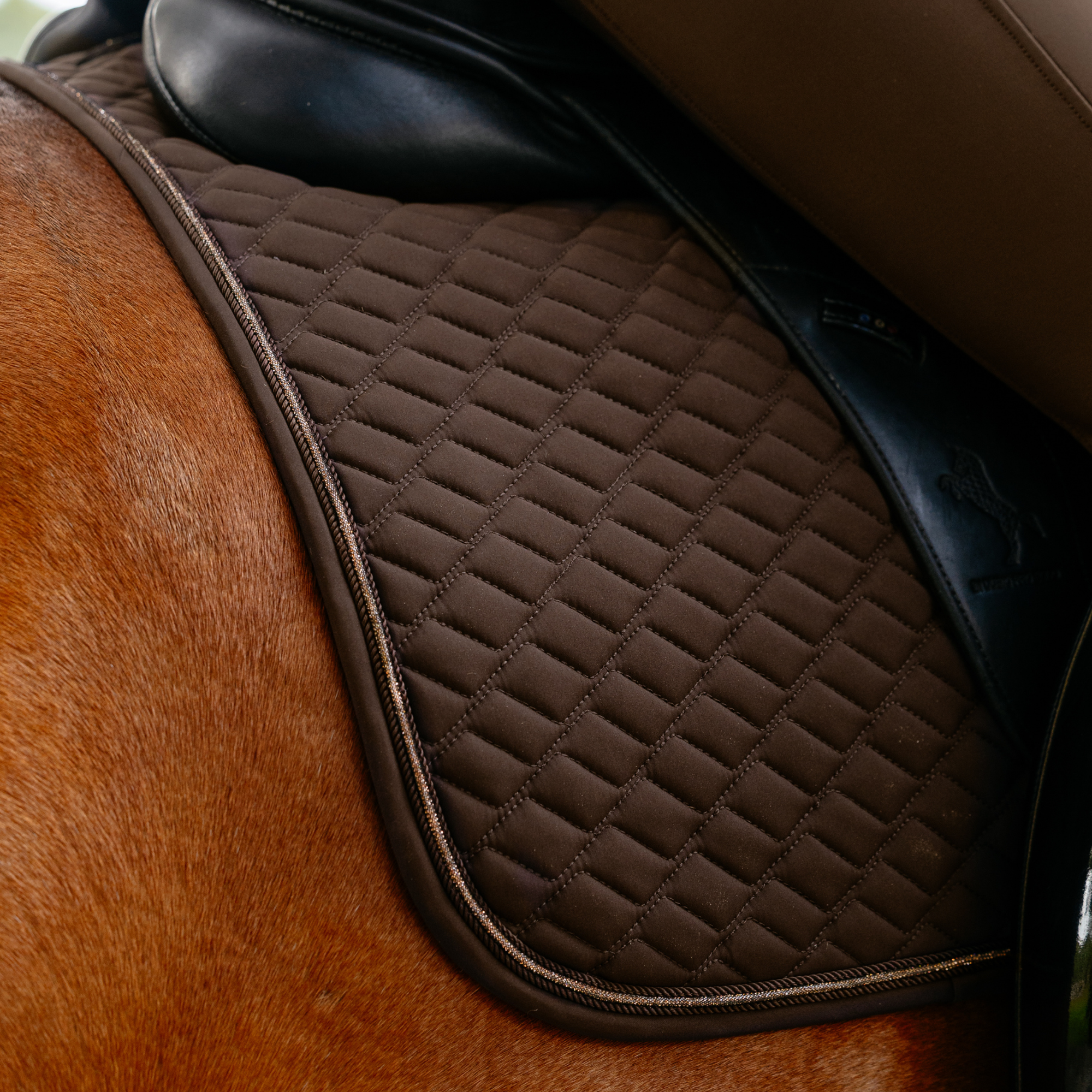 LeMieux Brilliance Dressage Saddle Pad, Espresso
